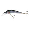 Wobler Jaxon Holo SELECT FEROX 4F 2.5G P VJ-F04FP