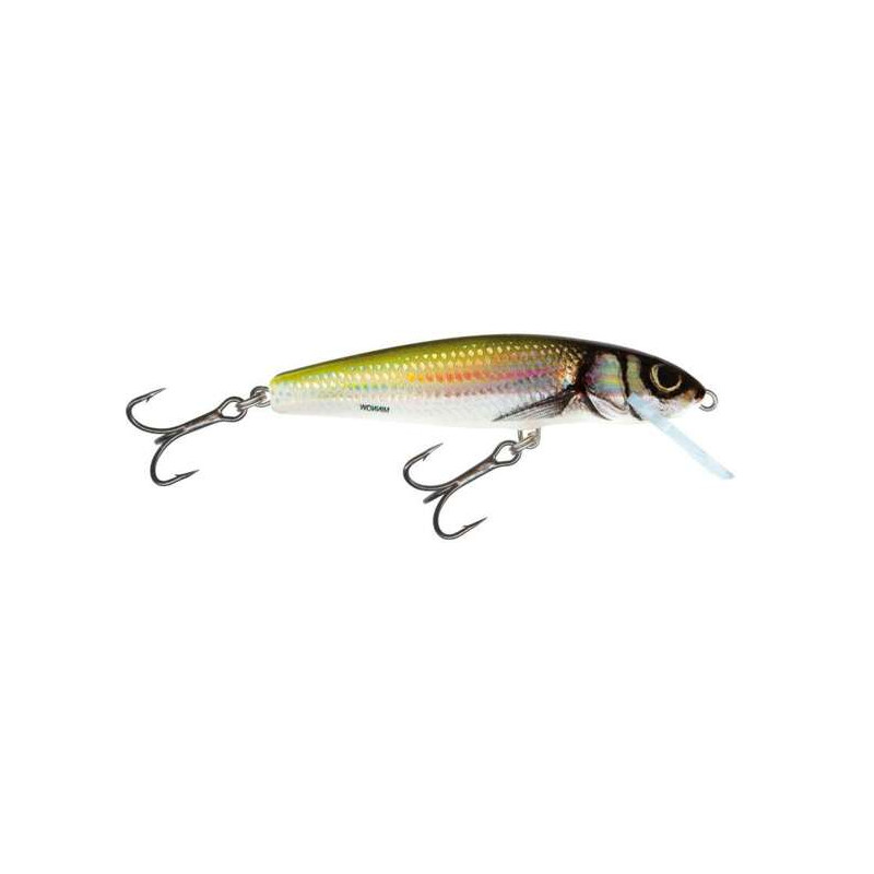 Salmo Minnow Sinking 6cm Holo Bleak Salmo Minnow Sinking 6cm Holo Bleak