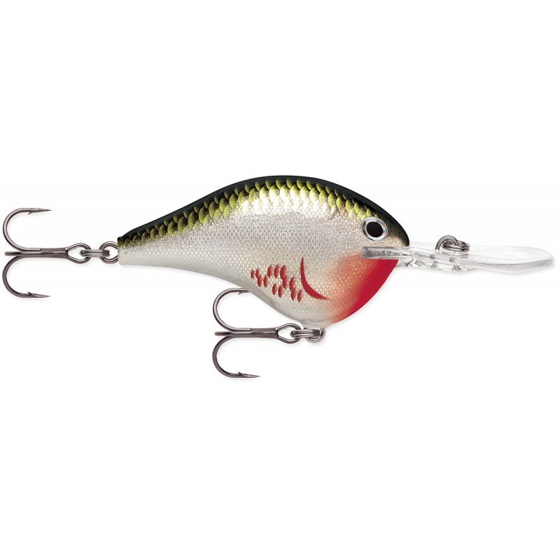 Rapala Dt DT16 BOS Bleeding Olive Shiner Rapala Dt DT16 BOS Bleeding Olive Shiner
