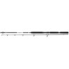 Daiwa BG Pilk 2,70m 50-165g