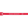 Rzepy Team Dragon ZAPIĘCIE do WĘDZISK MAŁE 223MM/24MM 50-40-001