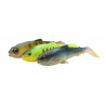 Przynęta Sg Craft CANNIBAL PADDLETAIL 8.5CM 7G ROACH