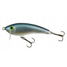 Wobler Gloog Hermes 70 RT
