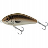 Salmo Fatso 10 Sinking Arkansas