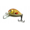 Wobler Dorado K-1 ALASKA 2,5 S FTR