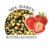 Zanęta Carp Old SCHOOL mix ziaren truskawka 5 kg