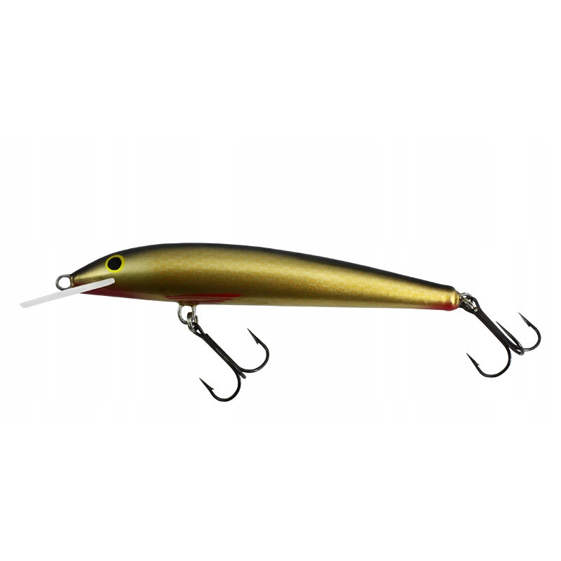 Wobler Gloognike 100N Floating 10cm 9G NG Wobler Gloognike 100N Floating 10cm 9G NG