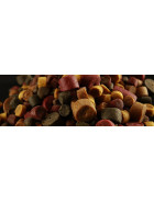 Kulki proteinowe i pellety